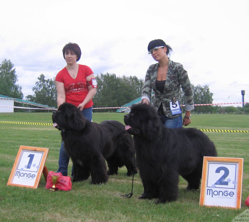 Фотография № 226071