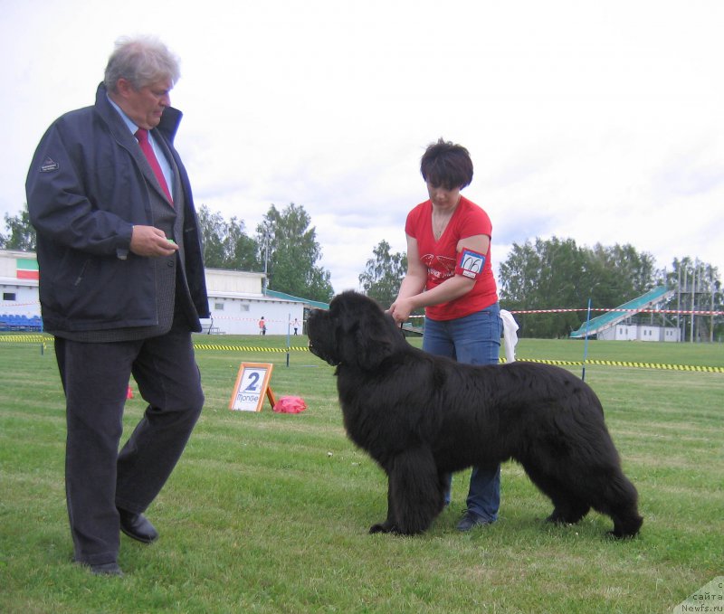 Фотография № 226072