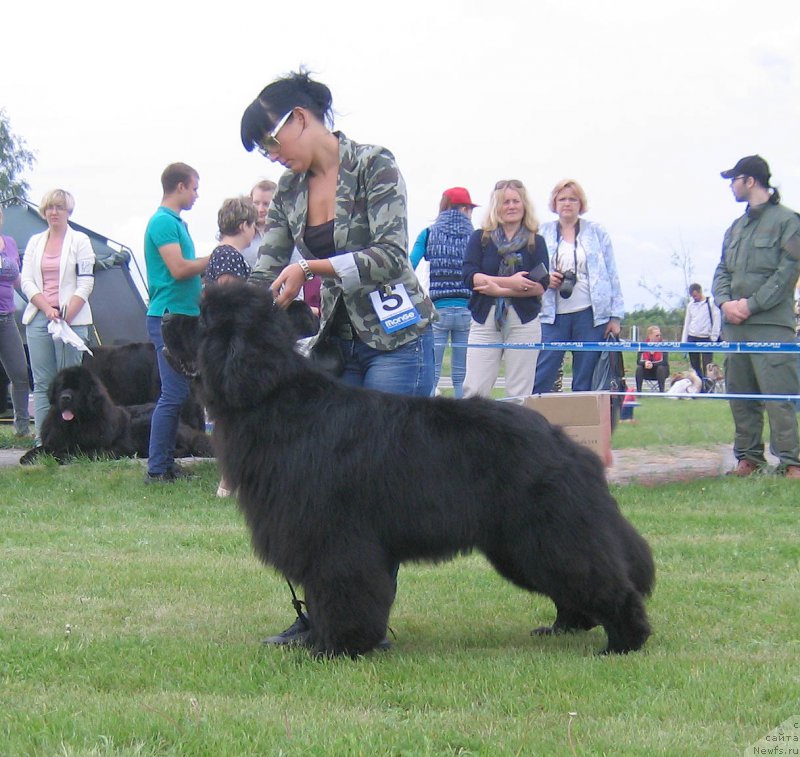 Фотография № 226073