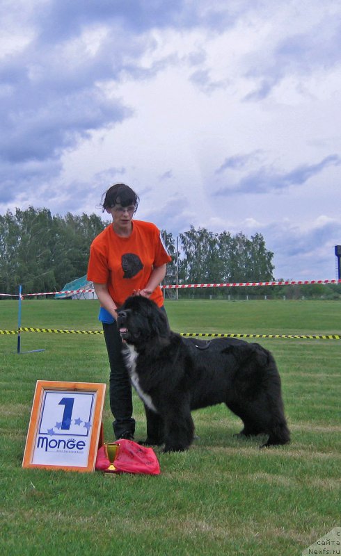 Фотография № 226074