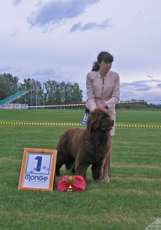 Фотография № 226075