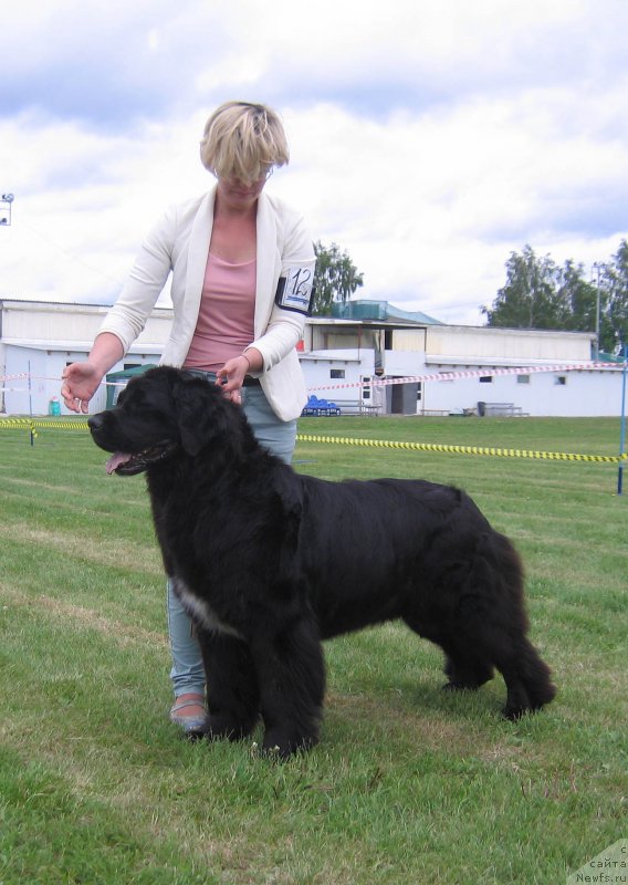 Фотография № 226077