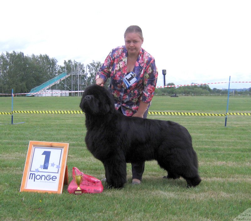 Фотография № 226078