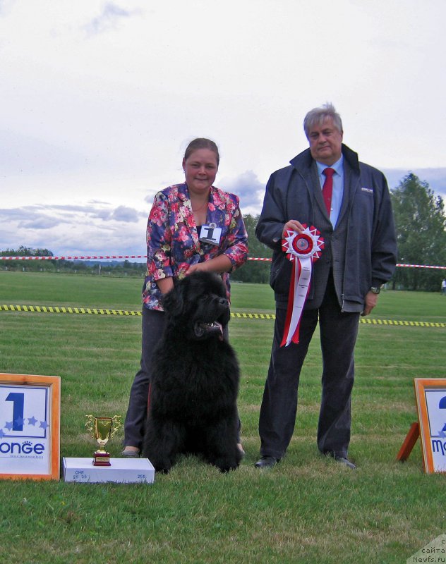 Фотография № 226079