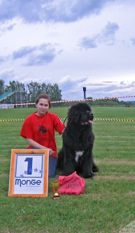 Фотография № 226082