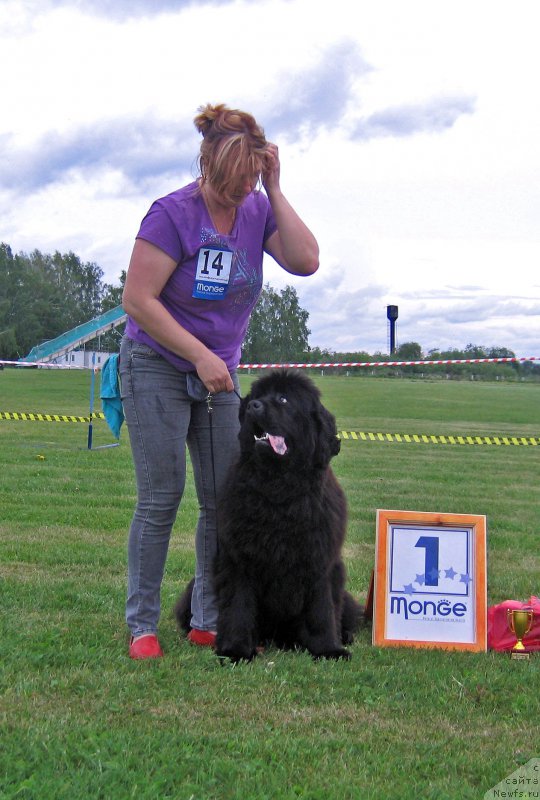 Фотография № 226085