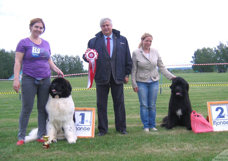 Фотография № 226086