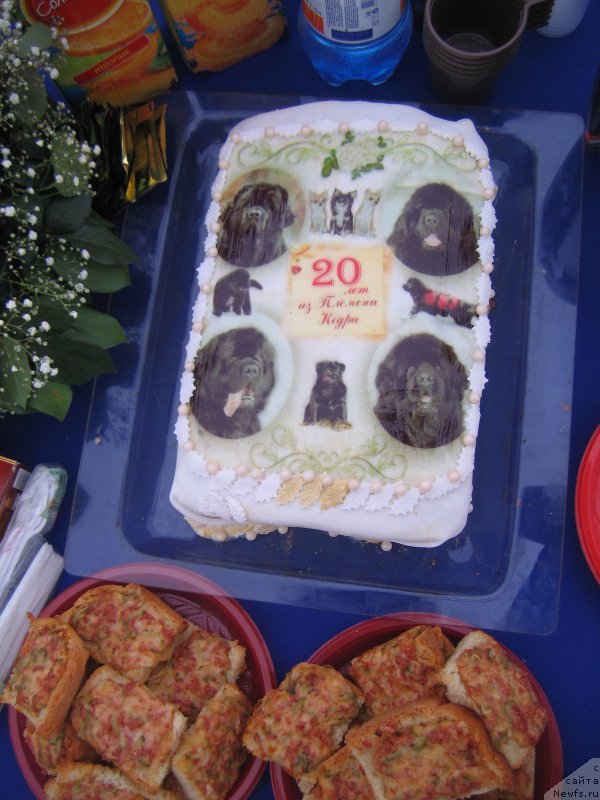 Фотография № 226087