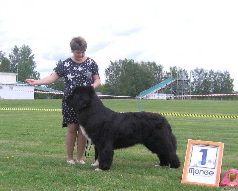 Фотография № 226088