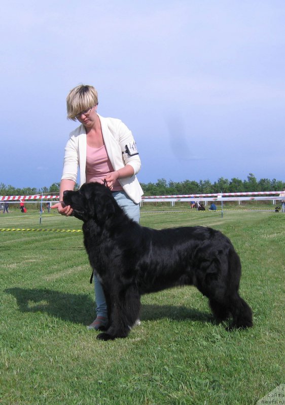 Фотография № 226093