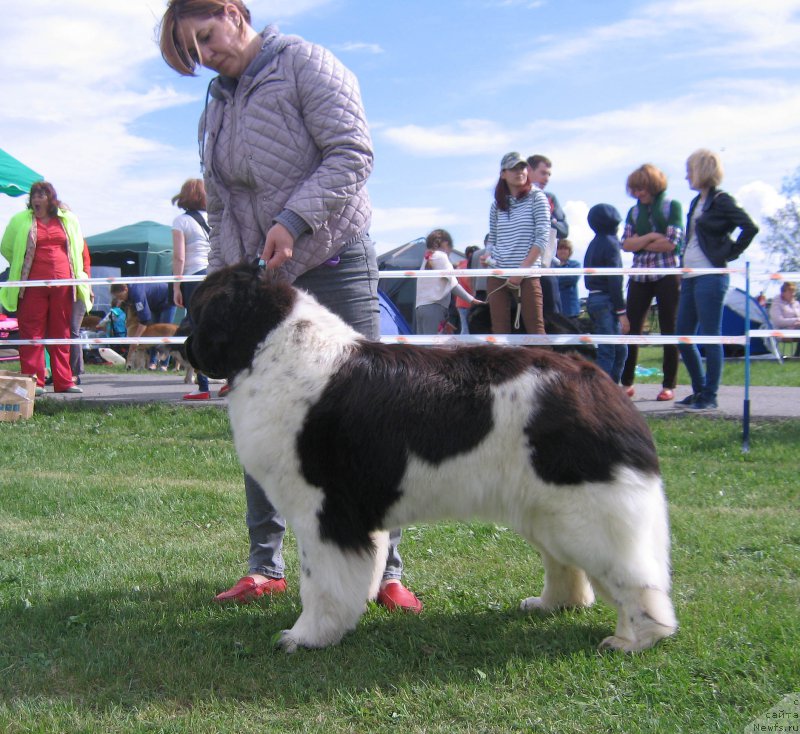 Фотография № 226094