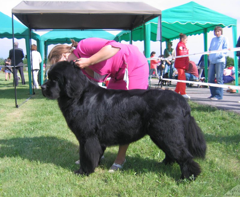 Фотография № 226096