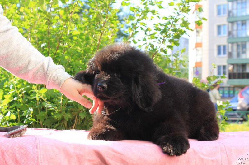 Фотография № 226113