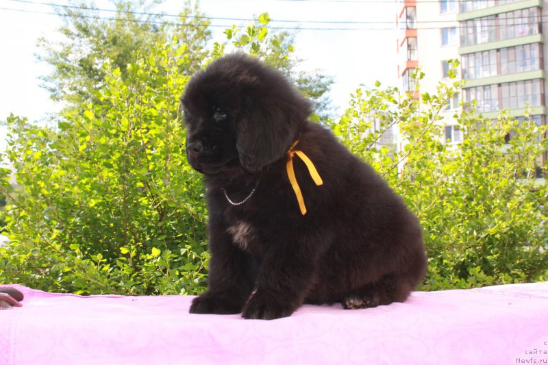 Фотография № 226127