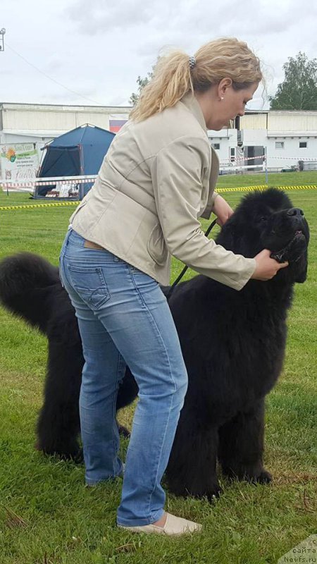 Фотография № 226150