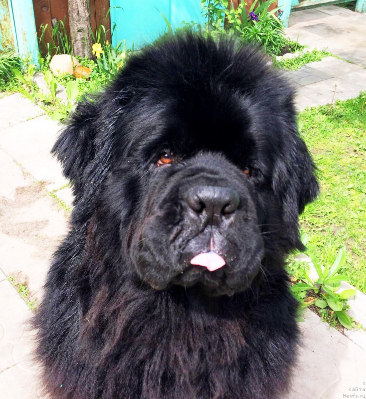 Фотография № 226165