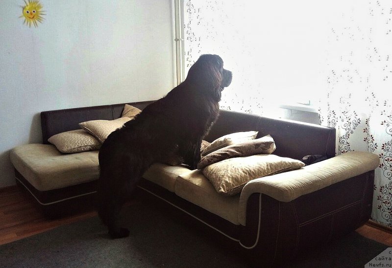 Фотография № 226166