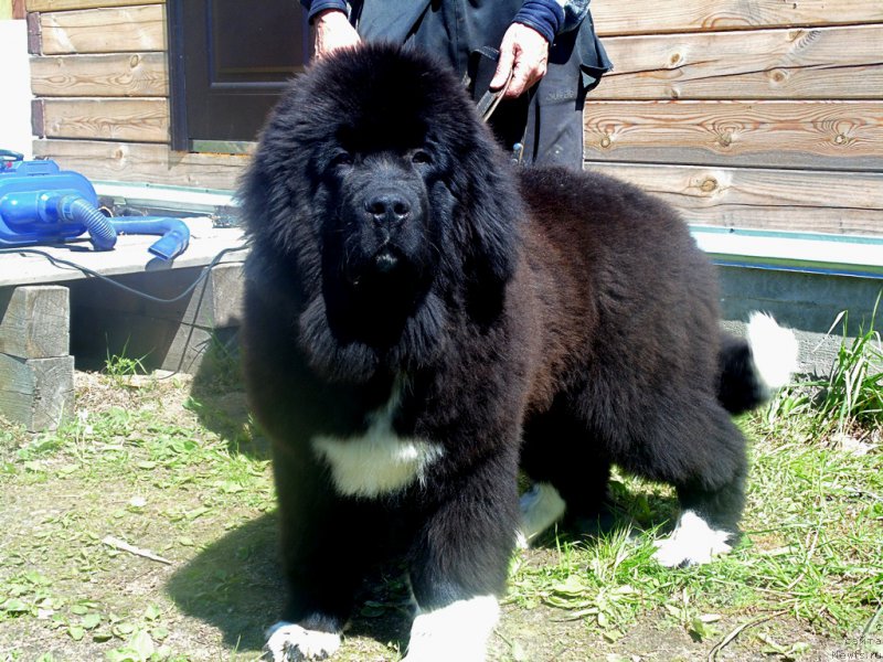 Фотография № 226197