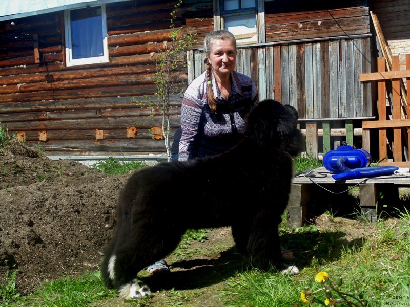 Фотография № 226205