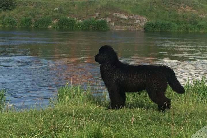 Фото: Аквиан Сонг