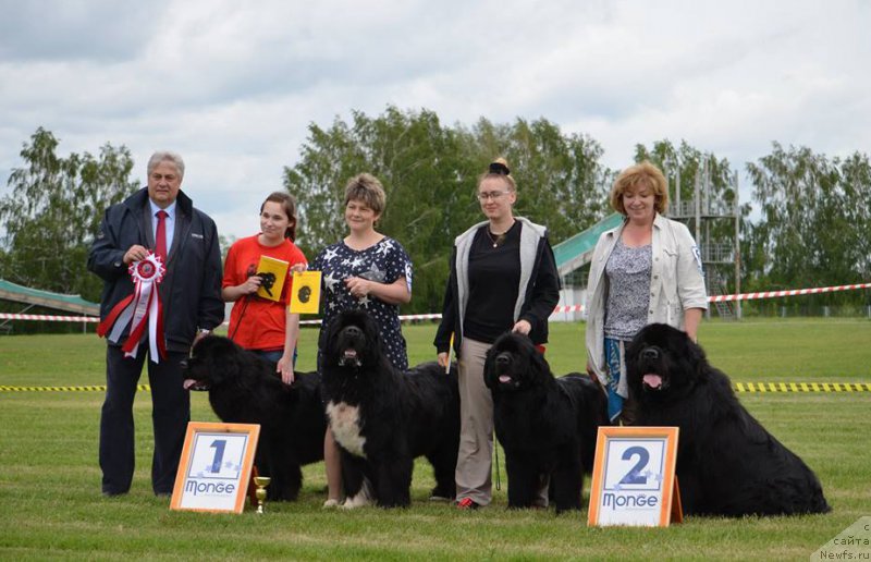 Фотография № 226209