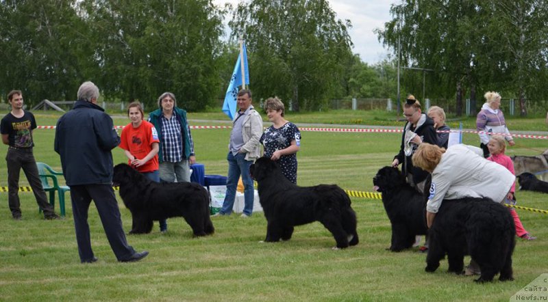 Фотография № 226212