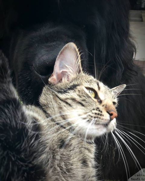 Фотография № 226252