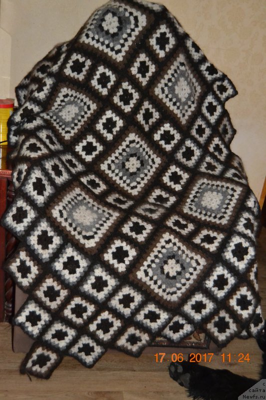 Фотография № 226283