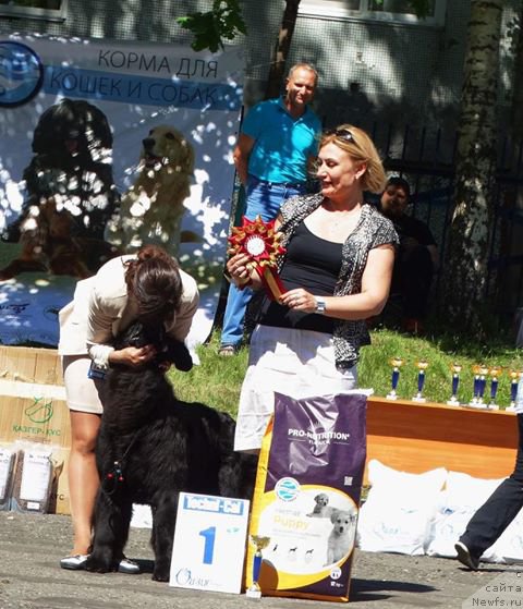 Фотография № 226300