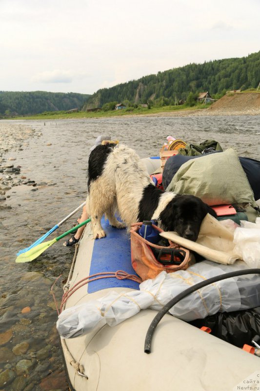 Фотография № 226305