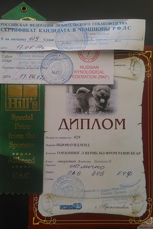 Фото: Natal'ya YAkimova (Наталья Якимова)