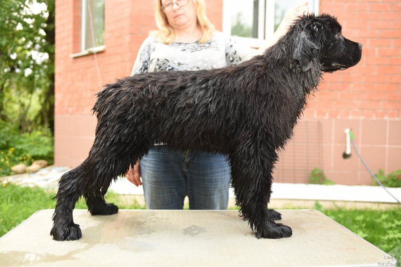 Фотография № 226309