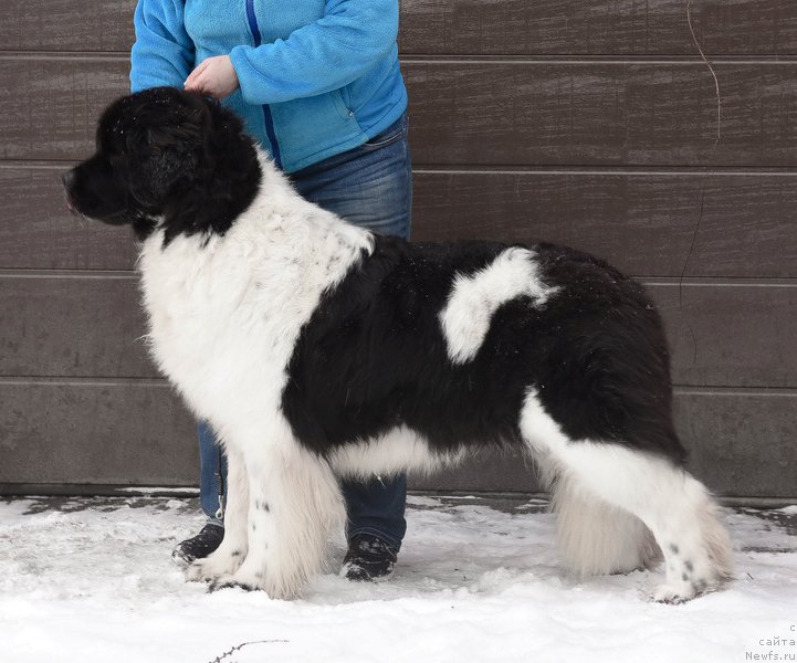 Фотография № 226311