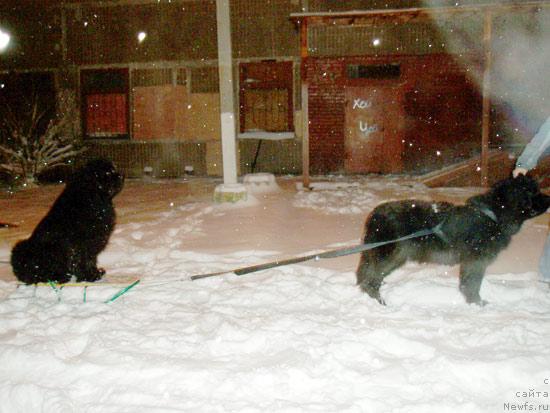 Фотография № 22632