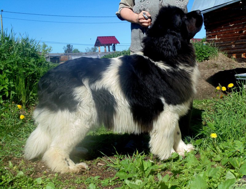 Фотография № 226321