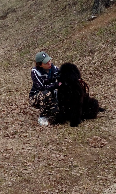 Фото: Lyudmila Morozova (Людмила Морозова)