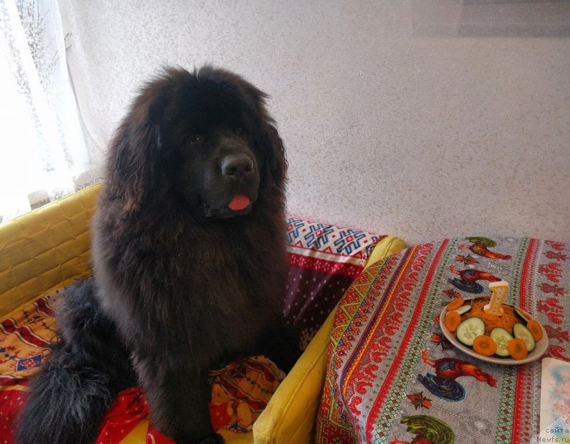 Фотография № 226330