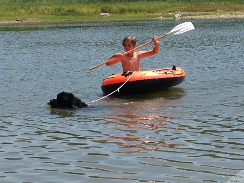 Фотография № 226434