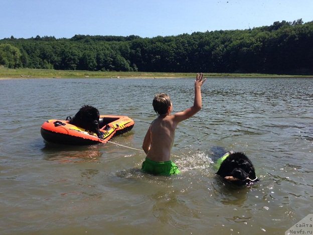 Фотография № 226437