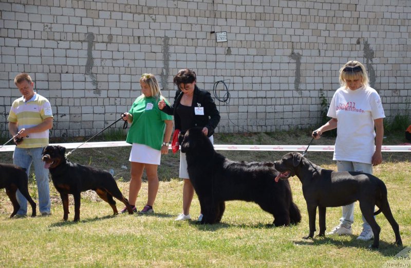 Фотография № 226440