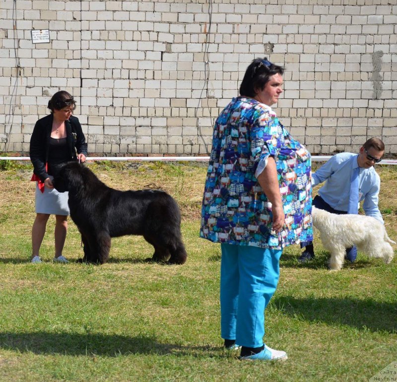 Фотография № 226441