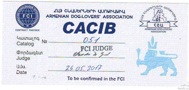 Фото: ньюфаундленд Brownblood MSK Hakim Gold Haydar (Браунблад МСК Хаким Голд Хайдар)