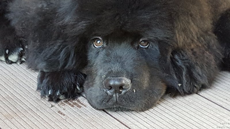 Фотография № 226534