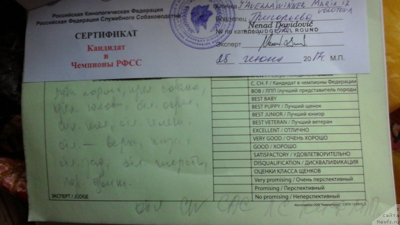 Фотография № 226558