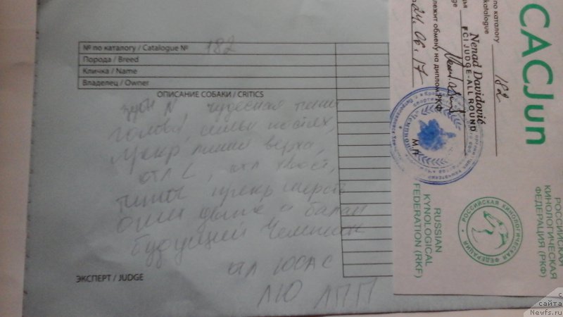 Фотография № 226560