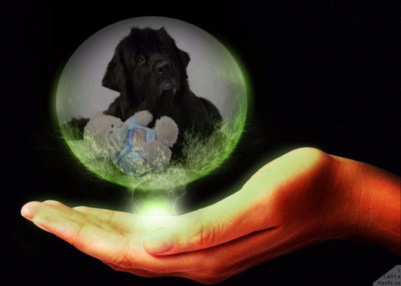 Фотография № 226566