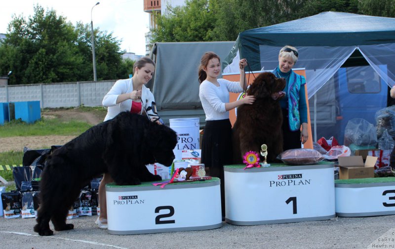 Фотография № 226574