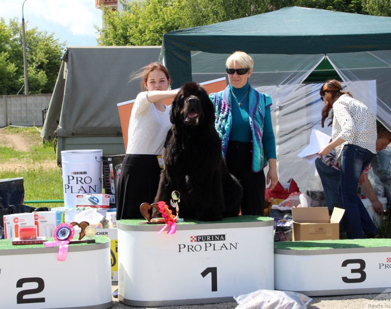 Фотография № 226577