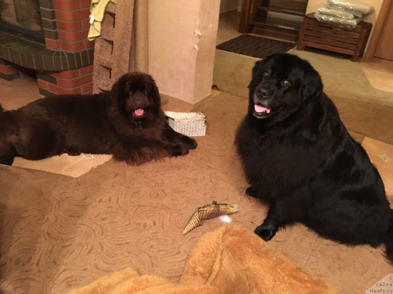 Фотография № 226587