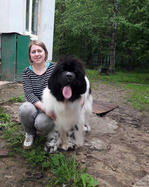 Фотография № 226588